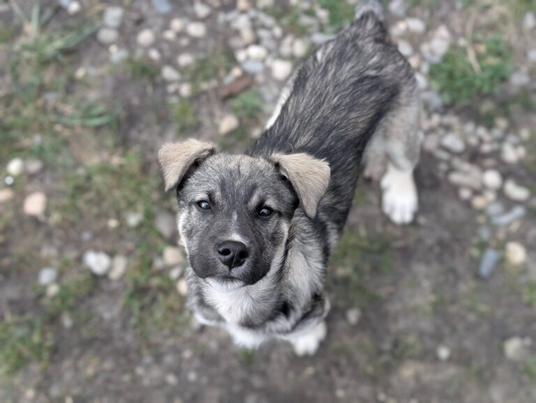 655700305_26367965932890042_8065255049408105495_n