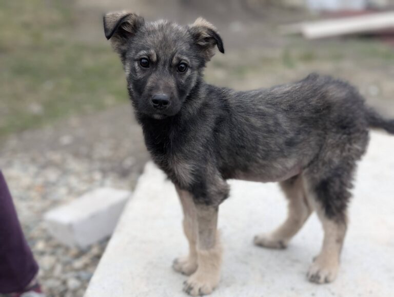 656114377_26367954876224481_5020435504912799751_n