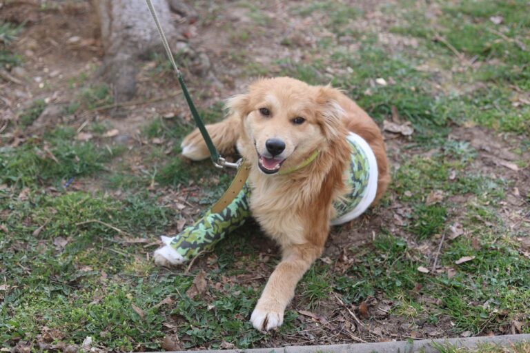 657040442_26198809249811482_5983296596426421519_n