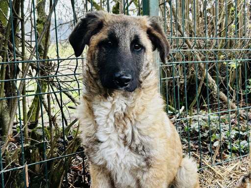 658160815_2146282449442833_8485972108896117473_n