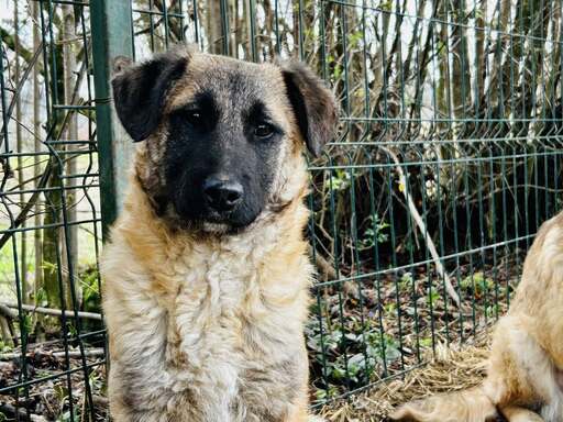 659258189_2146284526109292_532378133827164824_n