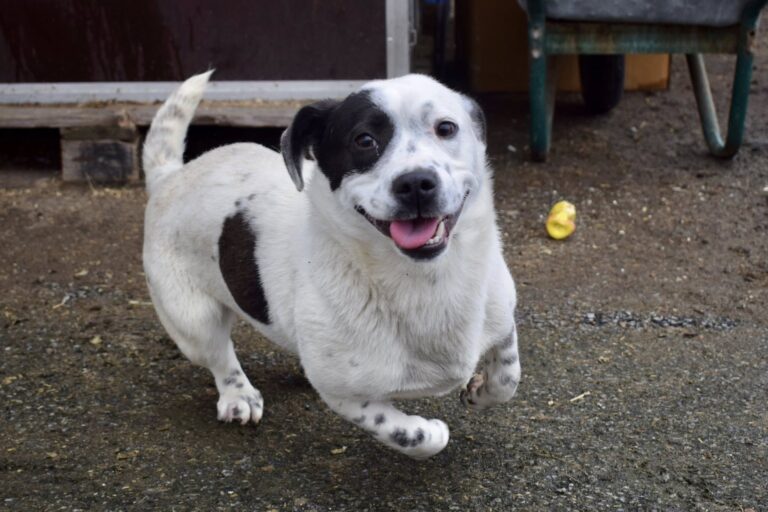 660787764_4246454872270982_7865536652914094540_n