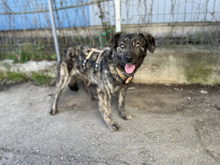 665998664_10242428767719399_311358538330866146_n