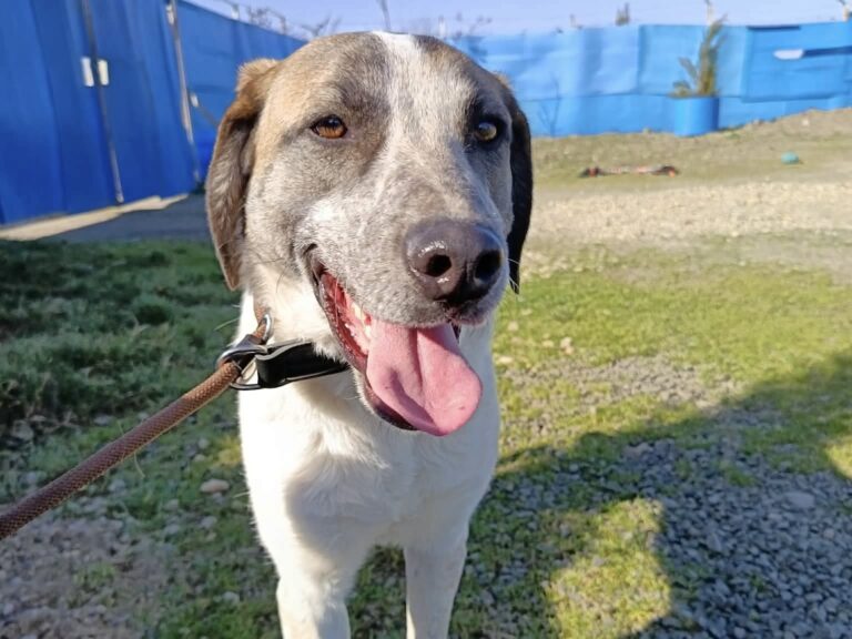 70740be26bef19ebeb7d16670e621607