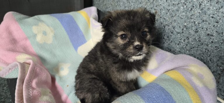 735ac609-3ccb-4edb-83c0-fb09f99df2c8