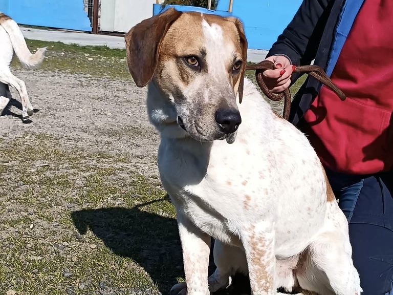 8afcb15f72d59b5fedcdedcb63265b6d