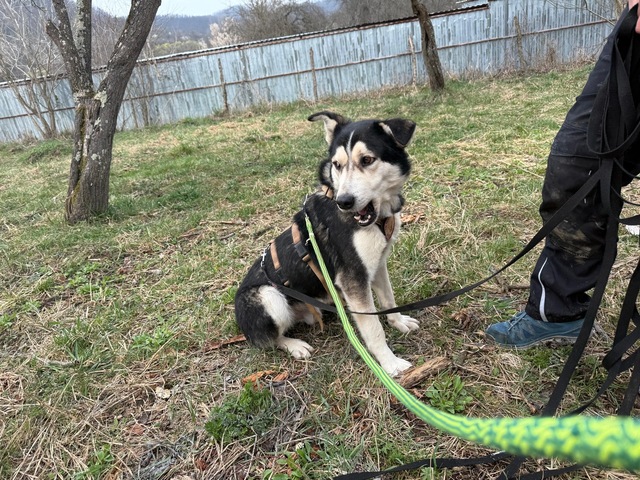 96e81813-3cbc-472c-bb30-42514ce7303d