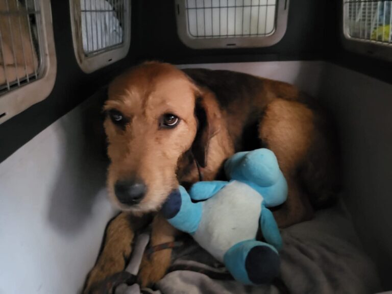 FB_IMG_1772552900507