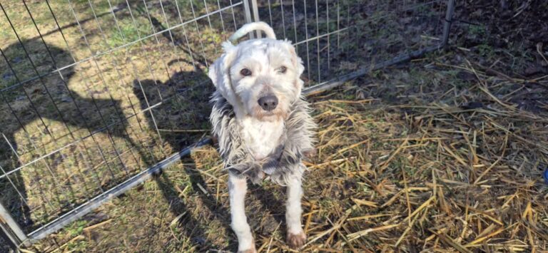 FB_IMG_1772560739506