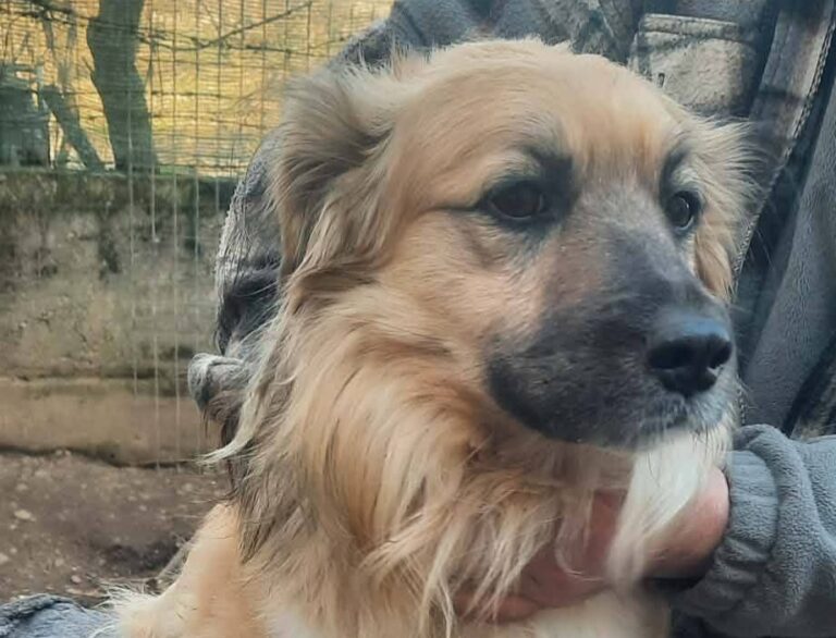 FB_IMG_1773045256863