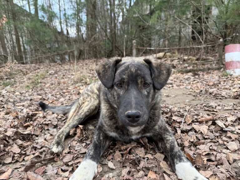 FB_IMG_1774862555058