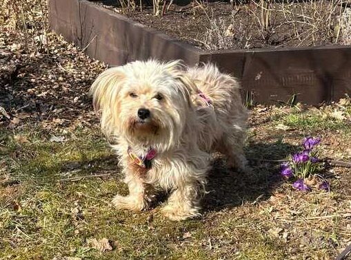 MARIA THERESIA MARIA THERESIA