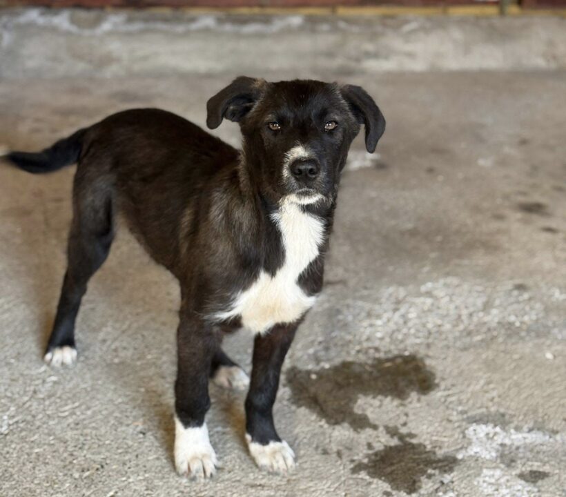 AILEEN – reserviert