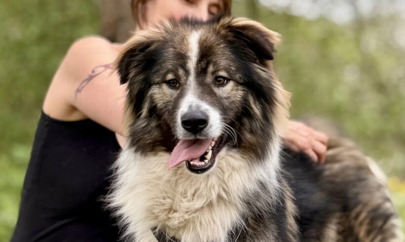 KASPAR