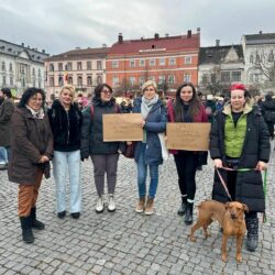 Horrorshelter Suraia – 31 Schützlinge gerettet