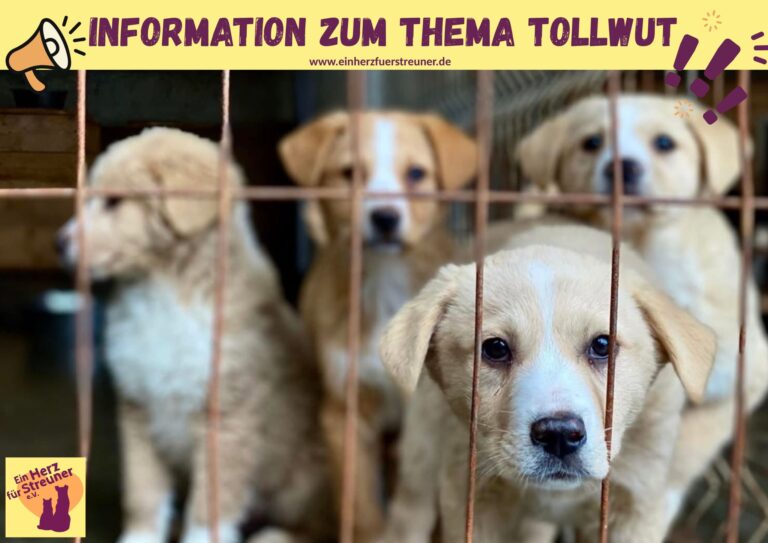 WhatsApp Image 2026-03-01 at 18.42