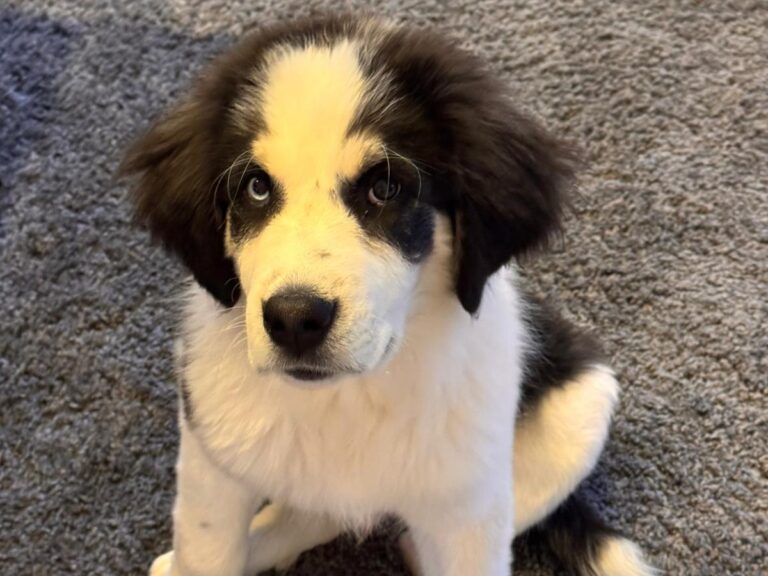 WhatsApp Image 2026-04-19 at 10.32