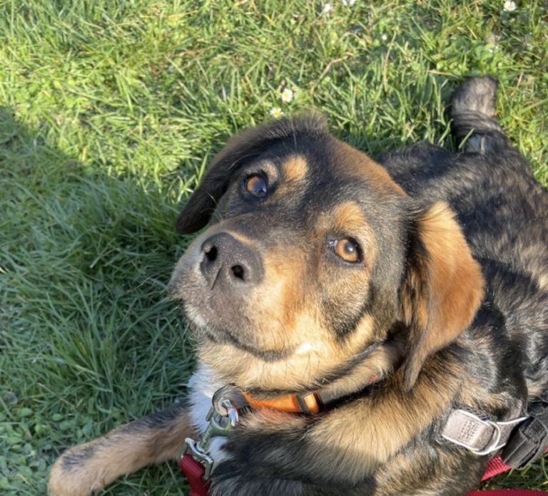 cdfd700b-978a-472c-8012-642eaecfaddf