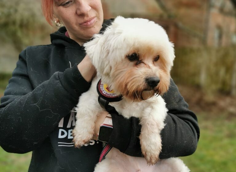 d14e20bf-2fb7-4fbf-9c27-e4cb0d983500