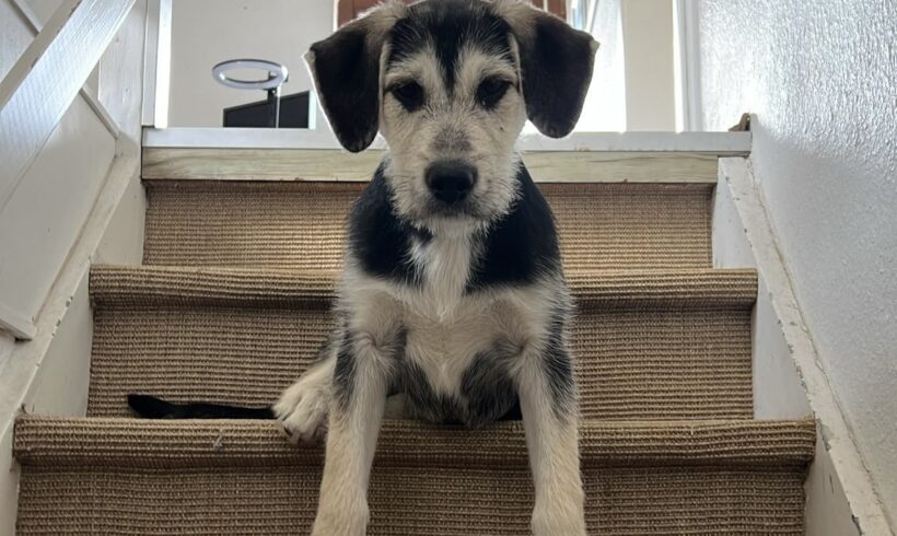 ZORA