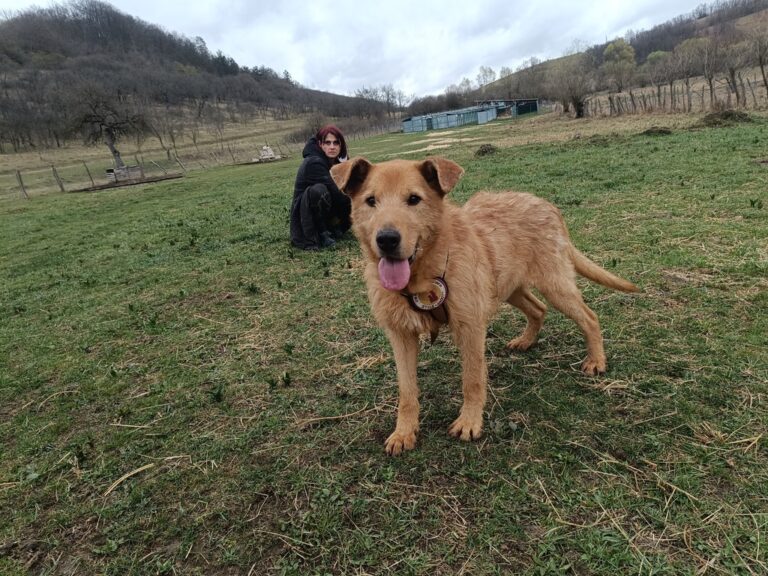 inbound1058410730836531713