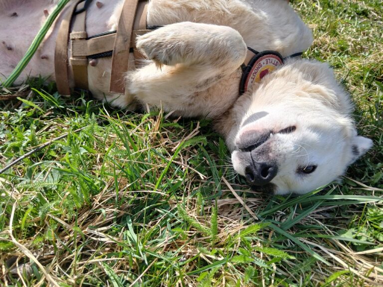 inbound1402046205182550741