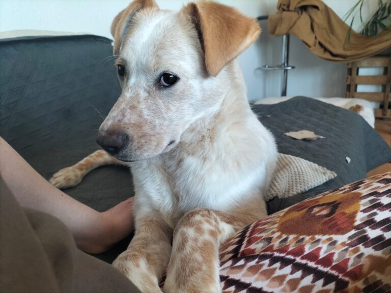 inbound2250926364942682639