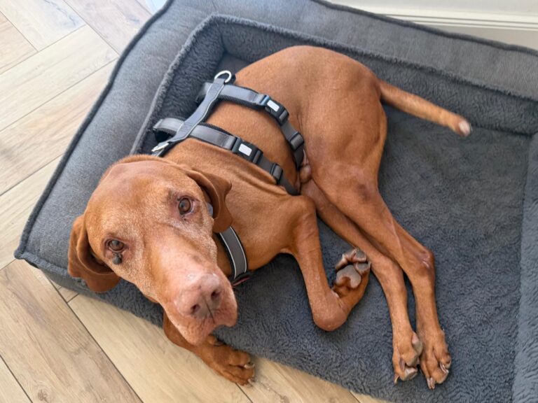 inbound2879181575738440882