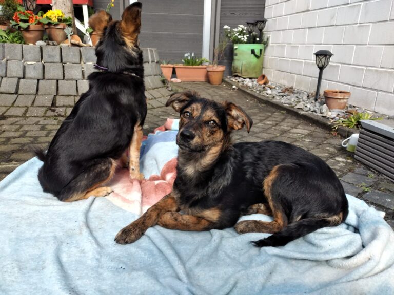 inbound4771242356914488115