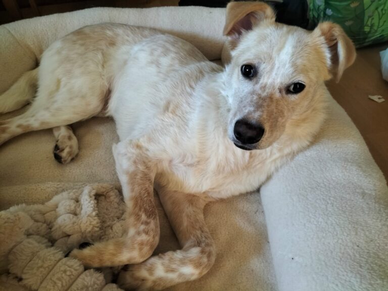 inbound5479625569761094177