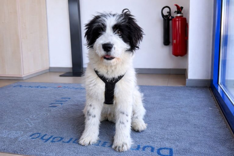 4f65eede-c6c3-4244-8fea-60e39a6c7e94