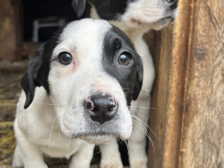 637427595_4206641802918956_5844354791469540807_n