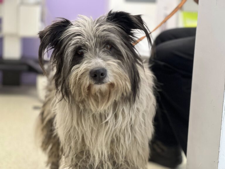 651003484_10161772861822581_3675903332041268991_n