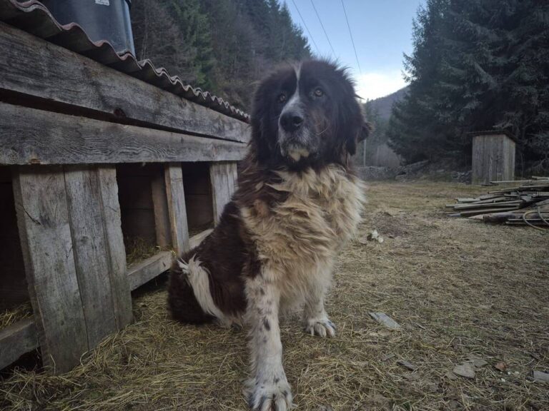 653033360_25979701921700039_6555435341741260668_n