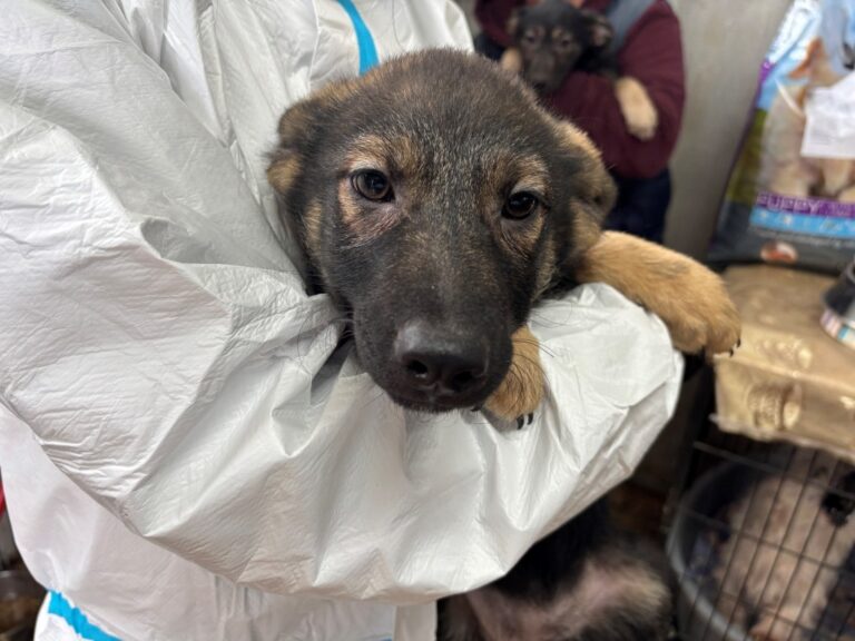 655948878_27153784424208530_793256005409478882_n