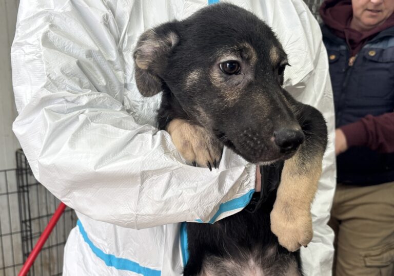 655978092_27153772277543078_2585984054457761473_n