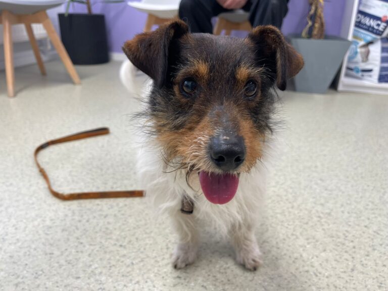 656184016_4238778736371929_5310877910833192786_n