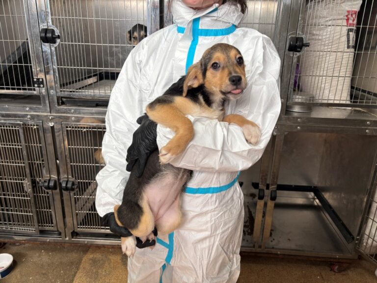 656940886_27153726447547661_1661048820170548542_n