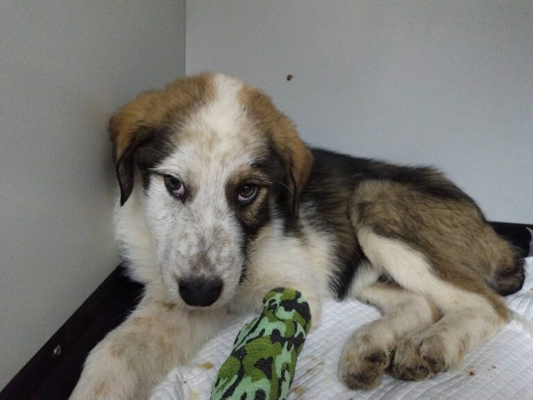 657637745_26270438955981844_6645366878405222591_n