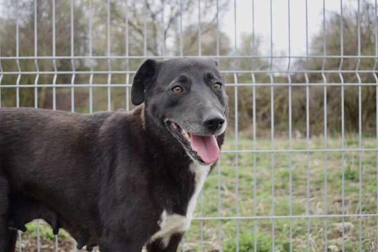 658142711_4245678885681914_2999985103433615097_n