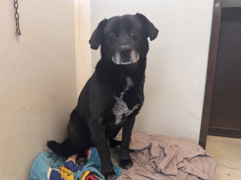 658152095_26663198646654366_4959917485363007107_n