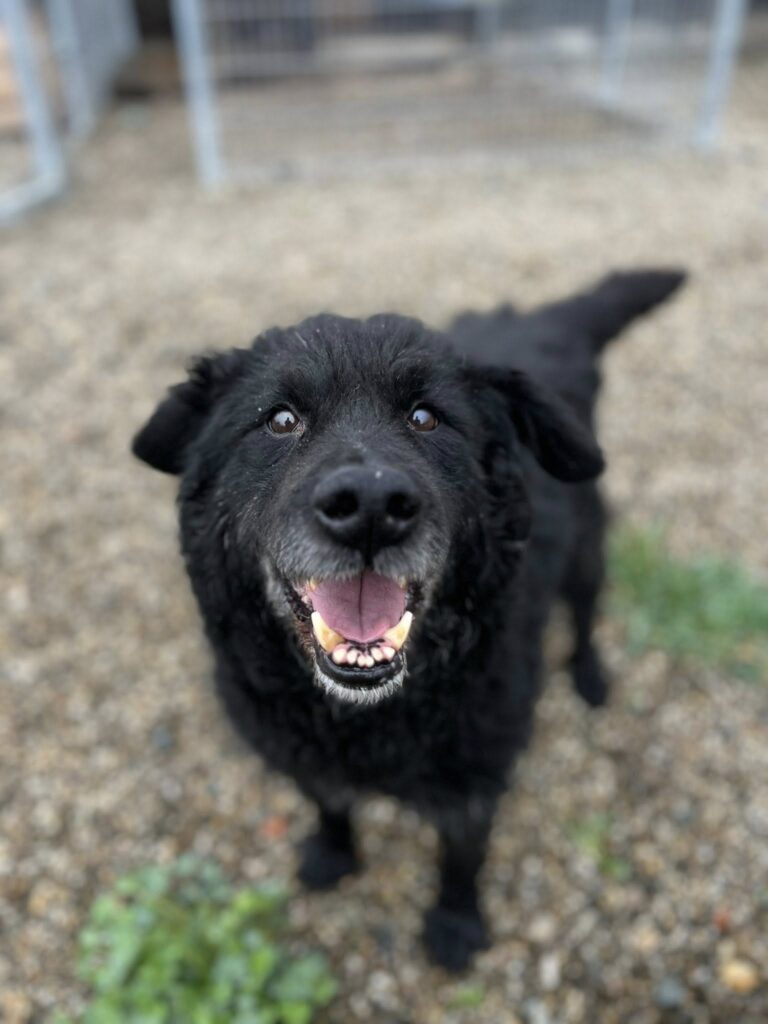 658729850_26229889983327547_7670525973640119700_n