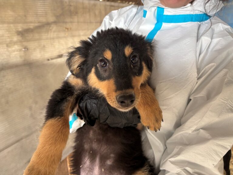 658768717_27156427287277577_2702231435501400821_n