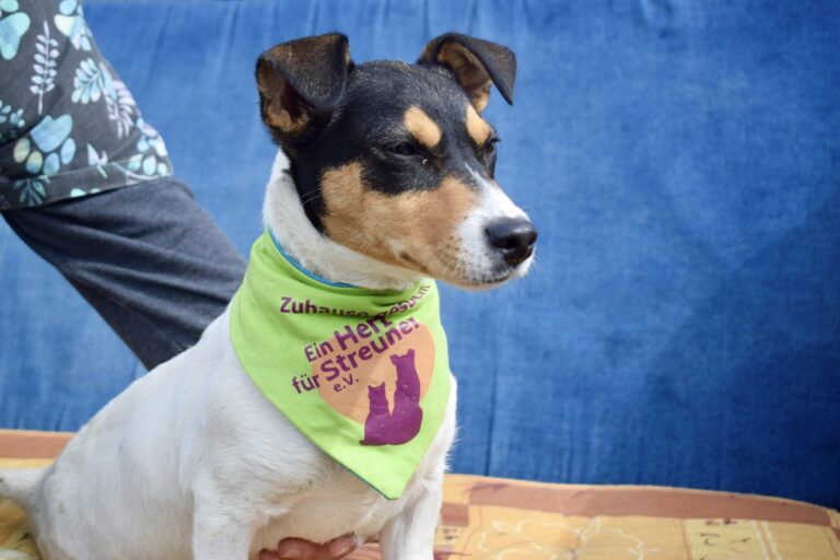 658934392_4248427702073699_6144156858859667500_n