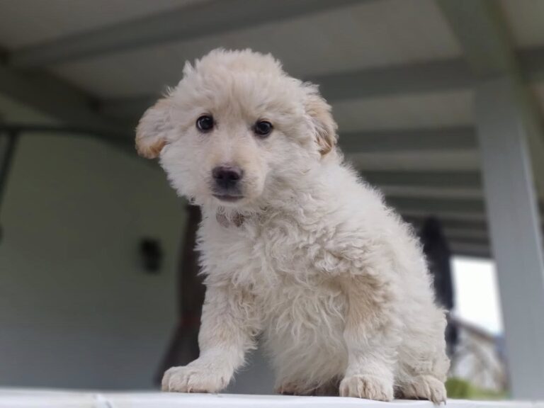 659016104_4248766432039826_5027067816076130615_n