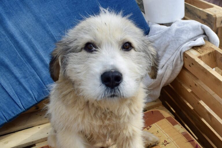 659025382_4248379908745145_5132115813740558608_n