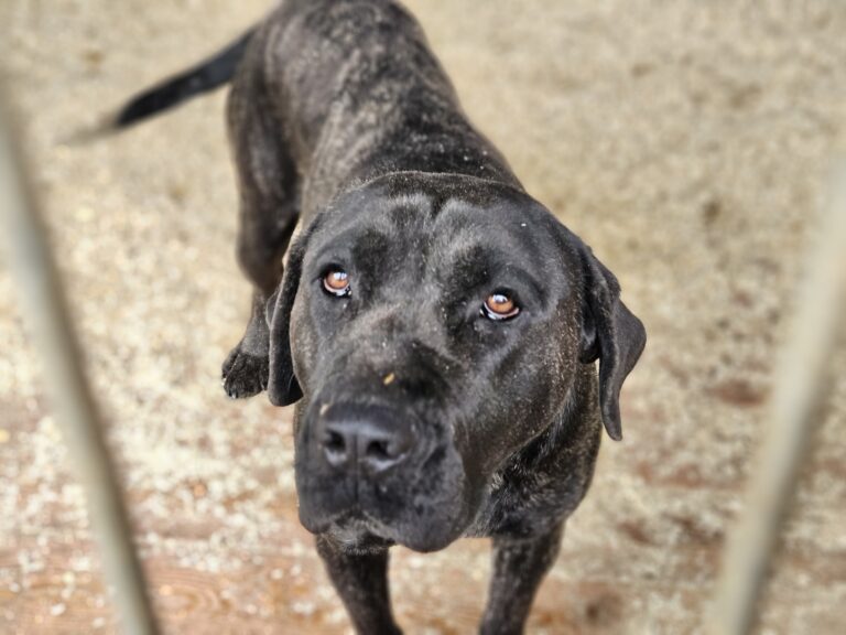 659109432_27254172564169715_3357162547547536574_n