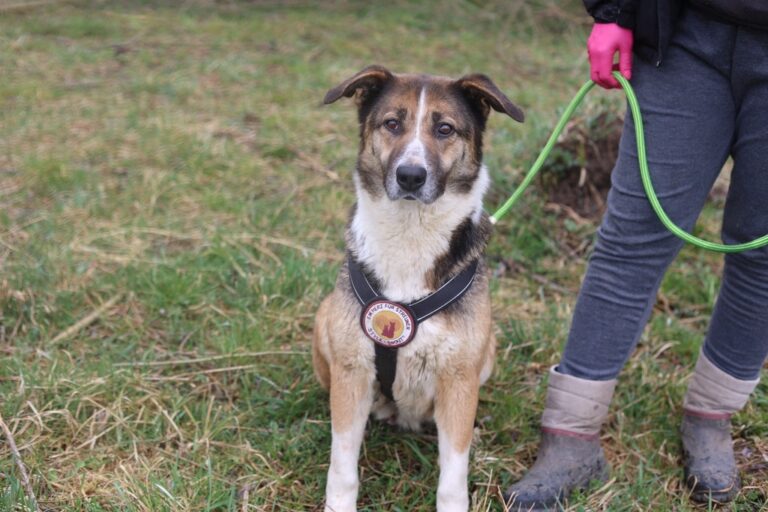 659235213_26265601216465618_912376845680106977_n