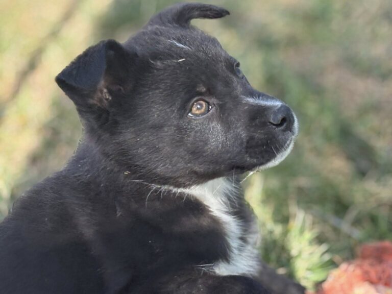 659589387_122233926842122691_6401437516348987203_n