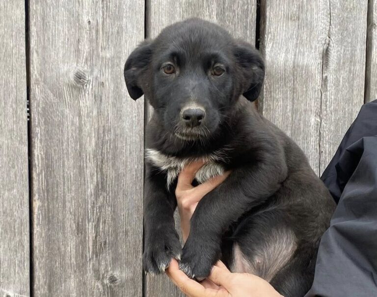 659614595_4248775478705588_995894018295884091_n